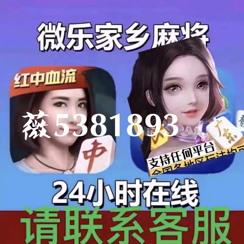 玩家必备教程微乐麻将小程序开挂方法”详细教程辅助工具