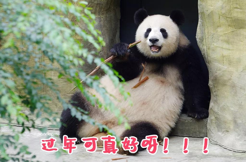 分享决窍“微信小程序熊猫麻将有没有挂卖”(原来真的有挂)-知乎 