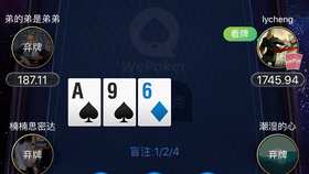 教程辅助“WePoker开挂专用工具-哔哩哔哩 