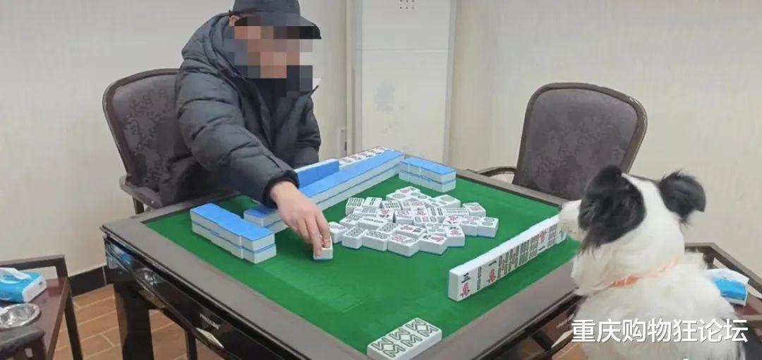 厉害了!巴蜀麻将开挂需要多少钱”其实确实有挂 