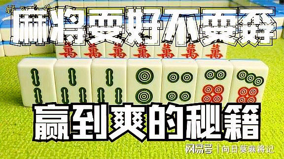 玩家必备攻略“哈灵麻将输赢有规律么”其实确实有挂 