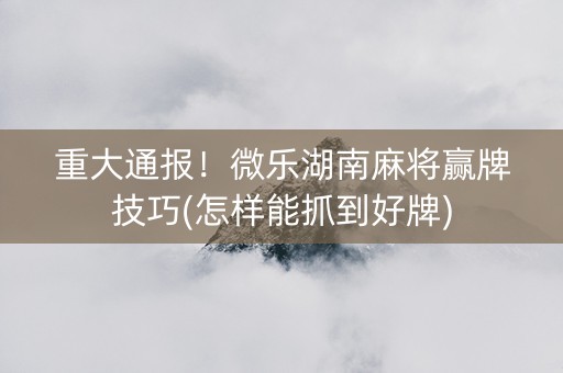 黑料！湖南微乐麻将怎么让系统发好牌(软件只赢不输)