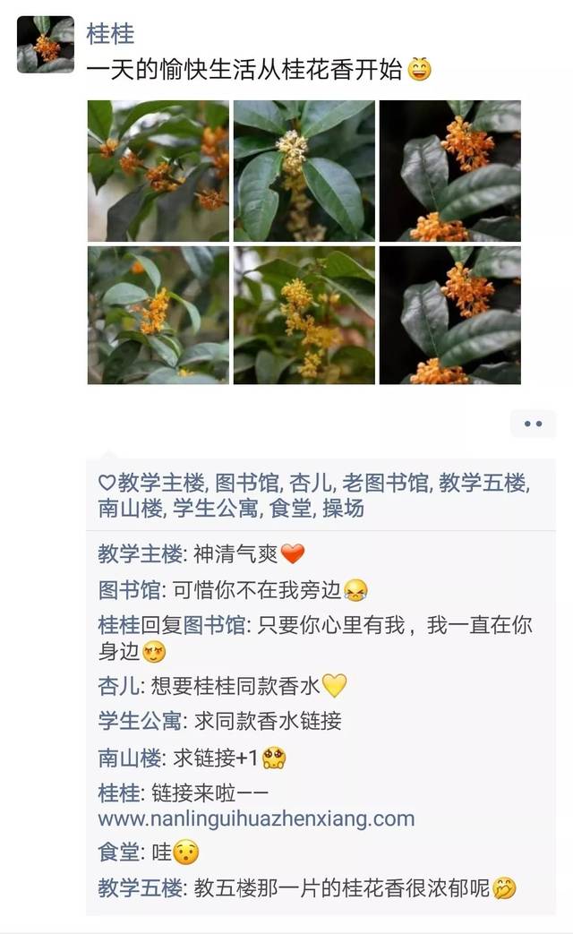教程分享“麻友圈2要怎么开挂”专业师傅带你详细了解