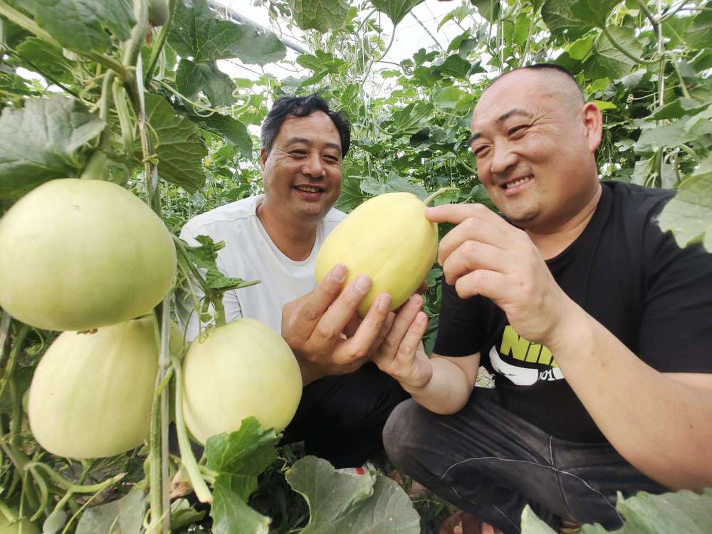 推荐一款“新蜜瓜牛牛是不是有挂吗!”开挂详细教程