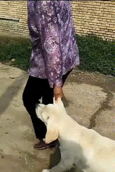 给大家科普一下！太浪麻将确实有挂的(怎么打才能赢)