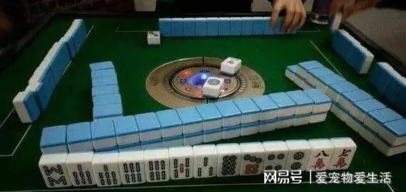 我来教教大家“手机上麻将有挂吗—真实可以装挂