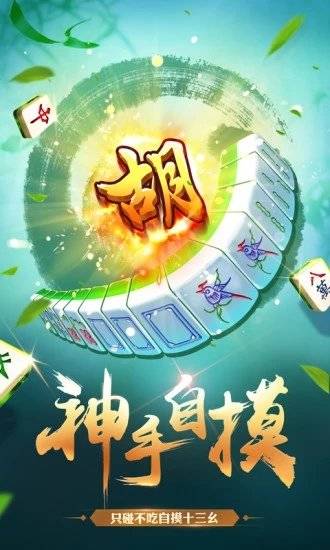 安装程序教程！功夫川麻开挂后的效果(软挂神器)