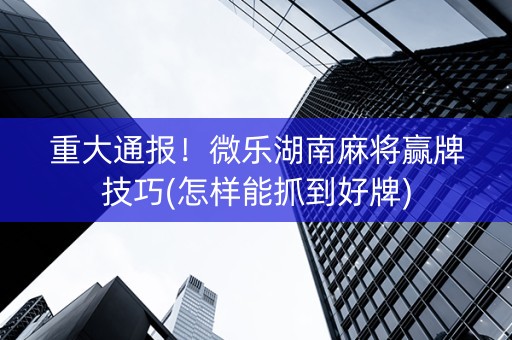 推荐十款！湖南微乐麻将跑得快技巧(怎么设置胡牌)
