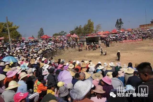 一分钟教你“链接多多斗牛牛牛十赌九赢的小方法—真实可以装挂