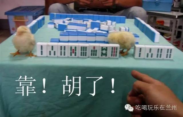 实测推荐“牵手跑胡子为什么一直输”!确实真的有挂