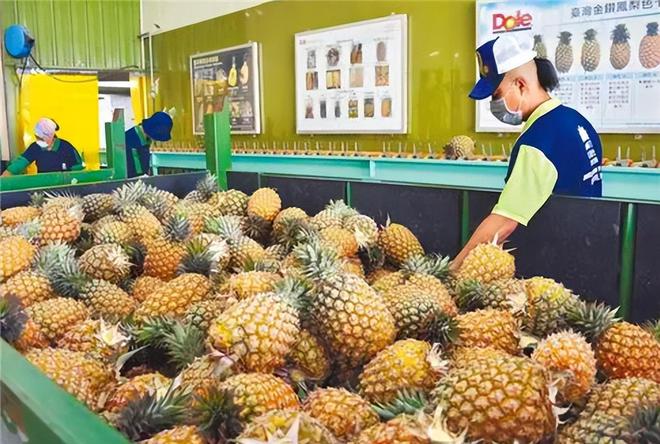 重大发现“789大菠萝果然确实有挂”(原来真的有挂)-知乎