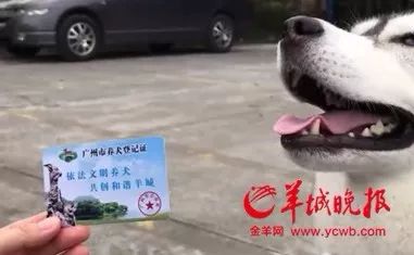 教程辅助“哈狗十三道能不能控制牌!其实确实有挂的