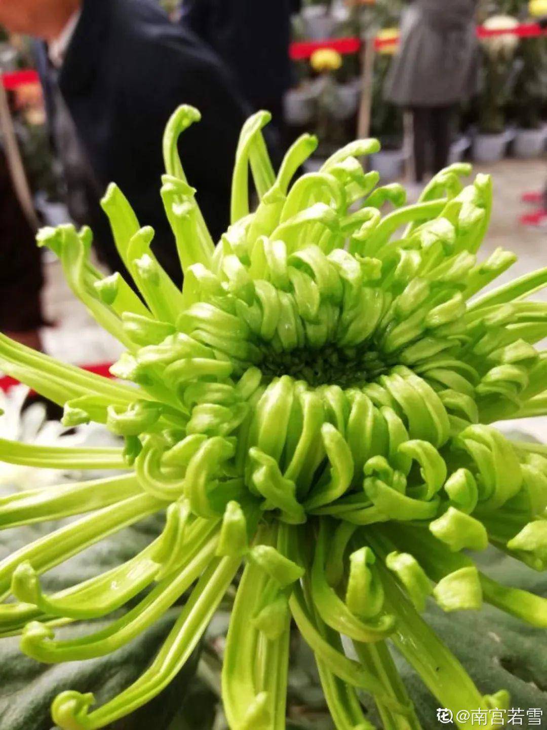 推荐一款“花花生活圈到底有没有挂”确实有挂