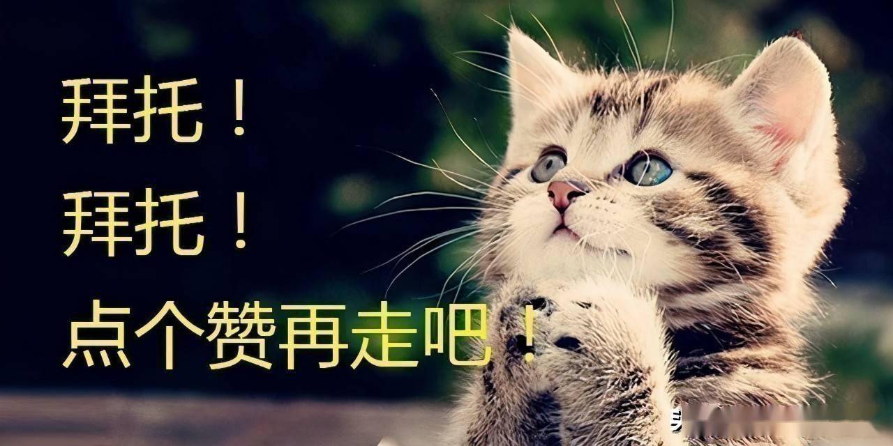 一定要牛真的有挂吗（2021一定要牛牛牛）